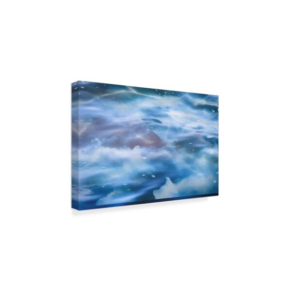 Anthony Paladino 'Looking Down On Clouds' Canvas Art,22x32